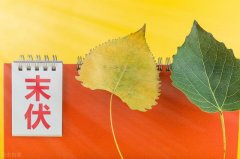 【末伏養(yǎng)生】潤肺養(yǎng)顏，止咳清肺